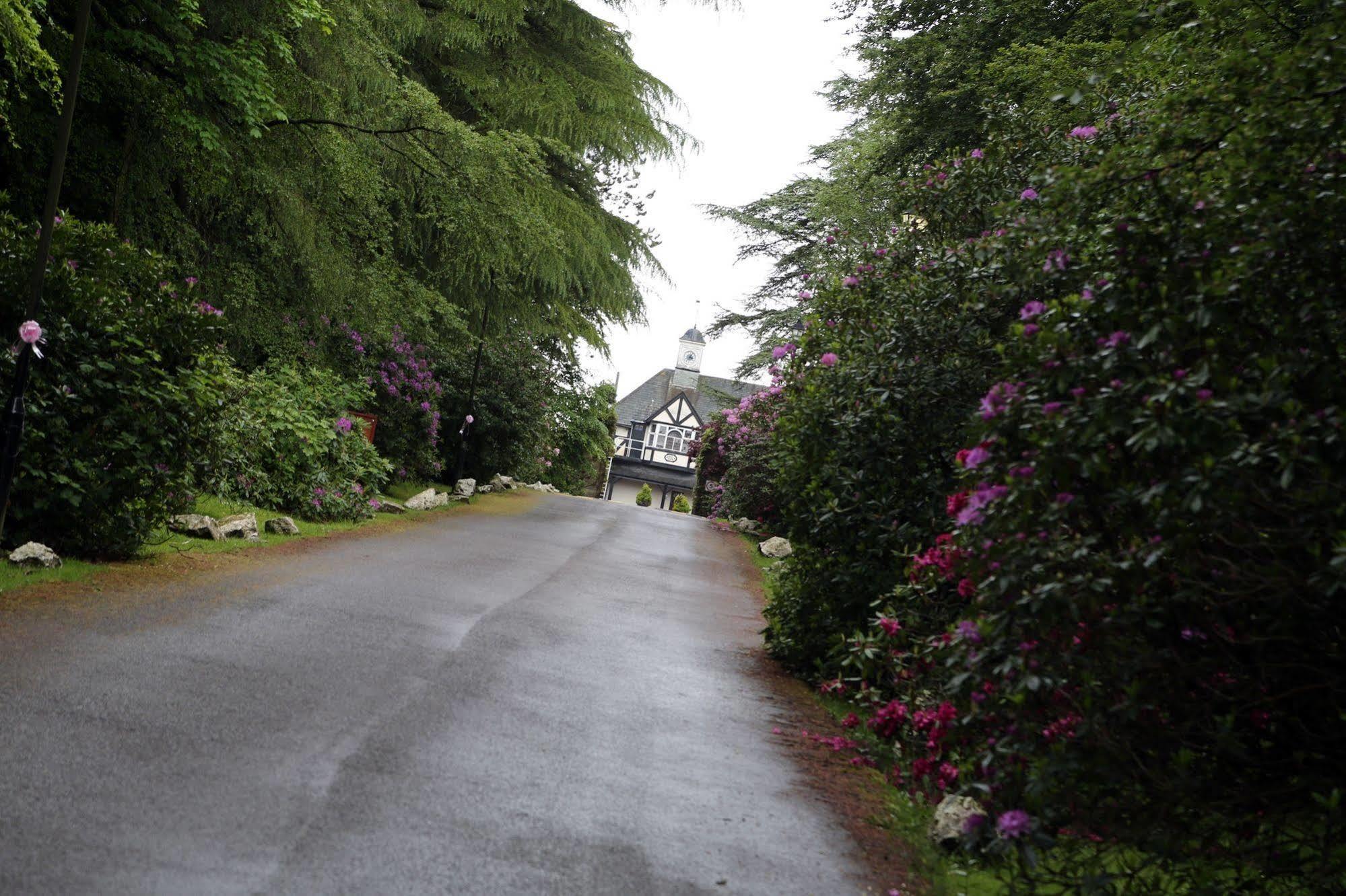 Maes Manor Country Hotel Blackwood  Exterior photo